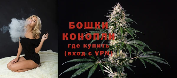 сатива Балахна