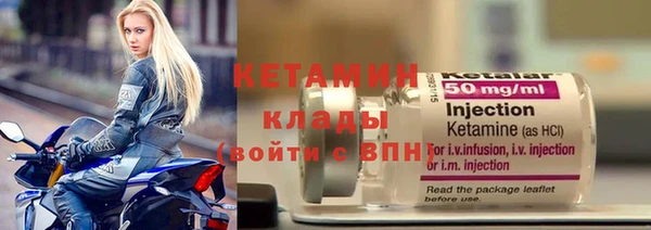 сатива Балахна