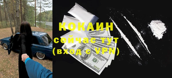 сатива Балахна